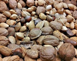 Eating nuts helps lower blood cholesterol levels